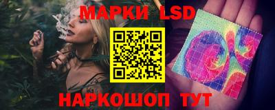 гашик Донецк