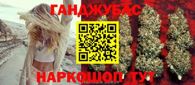 гашик Донецк