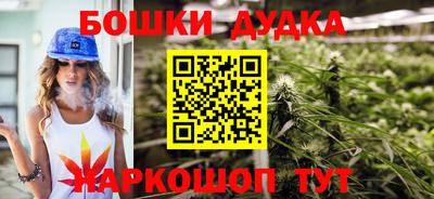 spice Дубна