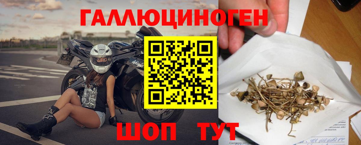 Галлюциногенные грибы мицелий Кыштым