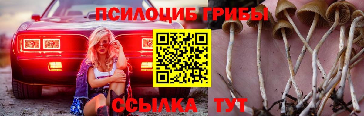 Кыштым  купить наркоту  Вход с VPN  Псилоцибиновые грибы MAGIC MUSHROOMS 